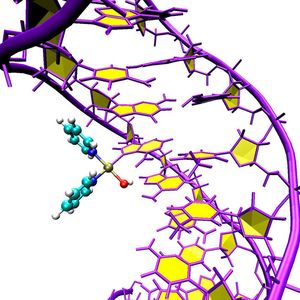 Computersimulation des Angriffs von Pt103 an den DNA-Doppelhelix.