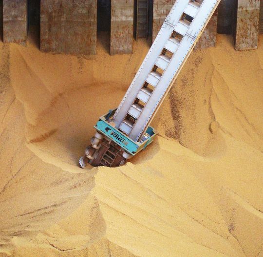 Bei grossen Batches, wie hier bei der Schiffsentladung, ist eine repräsentative Probenahme schwierig. Bei grossen Batches, wie hier bei der Schiffsentladung, ist eine repräsentative Probenahme schwierig.