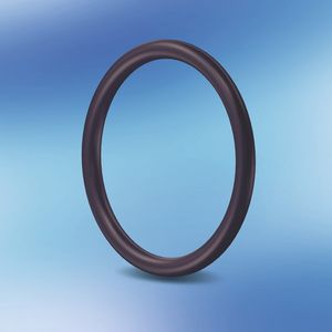 (Bild: Freudenberg Sealing Technologies)