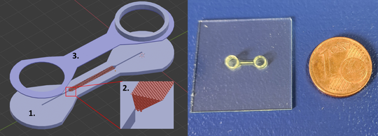 Abb. 5: Links: CAD-Zeichnung des LC-Chip mit den einzelnen Produktionsphasen: 1. Fertigung der Basis; 2. Fertigung der stationären Phase; 3. Fertigung des Deckels und des Interfaces. Rechts: gefertigter LC-Chip auf dem Druckbett im Größenvergleich zu einer 1-Cent-Münze.(Bild:  Hochschule Reutlingen)