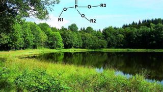 Abb. 1: Allgemeine Strukturformel der Phosphorsäureester. R1, R2 und R3 sind entweder gleiche oder verschiedene organische Substituenten. In allen technisch relevanten Produkten ist R1=R2=R3 (s. Tab. 1). (Archiv: Vogel Business Media)