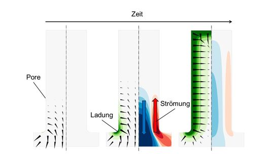 Die Ladung der Pore (grün), das elektrische Feld (schwarze Pfeile) und die Strömung (blau/rot) während des Aufladungsvorgangs.(Bild:  NMF)