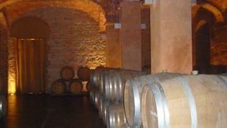 Im EU-Projekt PreserveWine-DEMO wird ein Prozess entwickelt, um Wein mithilfe der Druckwechseltechnologie haltbar zu machen. (Bild: Fraunhofer IGB)