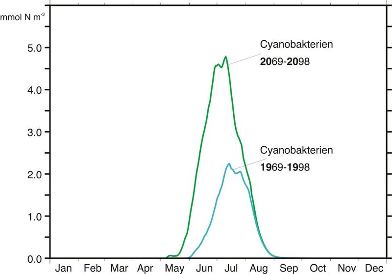 Abb. 3: Das biologisch-physikalische Klimamodell zeigt: Durch den Klimawandel könnte sich die Biomasse der Cyanobakterien mehr als verdoppeln (gemittelt über 30 Jahre). Zudem beginnt die Wachstumsperiode früher. (Bild: UHH/KlimaCampus/Hense)