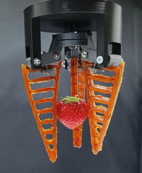Ein 3D-gedruckter Greifer aus selbstheilendem Material hält eine Erdbeere. (Vrije Universiteit Brussel)