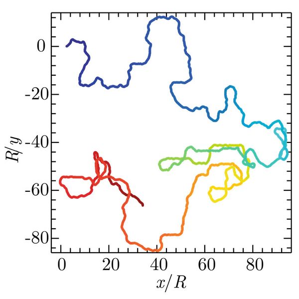 Abb.3a: Spuren einer E. coli-Bakterie auf gestreiften Oberflächen entsprechend der theoretischen Vorhersage [3]. Der zeitliche Verlauf der Bahnen wird durch die Farbgebung charakterisiert, beginnend mit dunklem Blau und endend mit dunklem Rot. Im Bild ist die Streifenbreite schmal verglichen mit dem Radius der Zellkreisbahn. Die Zelle bewegt sich isotrop in zufällige Richtungen. Im unteren Bild ist der Radius der Kreisbahn kleiner als die Streifenbreite, sodass eine schlangenartige Bewegung entlang der Streifenkanten auftritt. (Bild: FZ Jülich)
