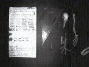 Bei der Renovierung seines Hauses in Surrey hat der Brite David Martin das Skelett einer Brieftaube entdeckt, an das auf dünnem Papier der Nachrichtencode gebunden war. Es wird vermutet, dass die Botschaft um den 6. Juni 1944 herum verschickt wurde, dem Datum der Invasion der Alliierten in der Normandie. Für diesen Tag hatte der britische Premier Winston Churchill strengste Funkstille verodnet.  (Bild: PRNewsFoto/Newsline)