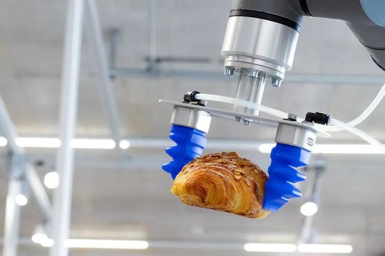 Greifen, was andere nicht greifen können, ist ein Motto von J. Schmalz aus Glatten. Hier sieht man, wie ein neues Greifsystem nacmens Mgrip Basic auch empfindliche und in der Regel unterschiedlich ausgeprägte Waren sicher handhabt. Aber es gibt noch mehr zu berichten ...(Bild:  J. Schmalz)