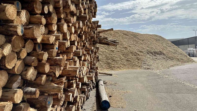 In einer gemeinsamen Stellungnahme kritisiert das Verbändebündnis den pauschalen Ausschluss zentraler Holzsortimente im Rahmen der Novelle der Biomasseverordnung.(Bild:  Deutsche Säge- und Holzindustrie Bundesverband)
