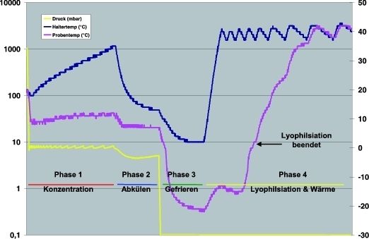 Abb. 4 Ergebnisse der Konzentration und Lyophilisation mit Aufwärmung der Proben (Versuch 4 aus Tabelle 1). (Archiv: Vogel Business Media)