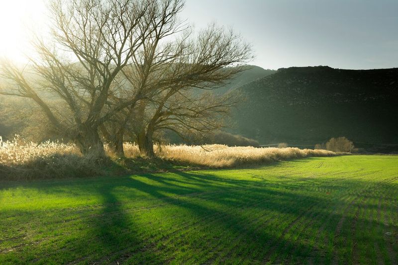 Für den Arten- und Landschaftsschutz wurde im Jahr 2019 in Deutschland von der Branche vier Millionen Euro investiert. (Quelle: Destatis, VCI) (Bild: gemeinfrei/José Berzosa auf Pixabay )