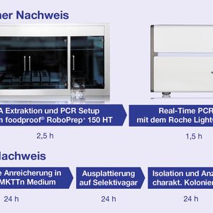 Abb.1: Vergleich der Workflows beim molekularbiologischen und mikrobiologischen Nachweis (nach ISO 6579) von Salmonella