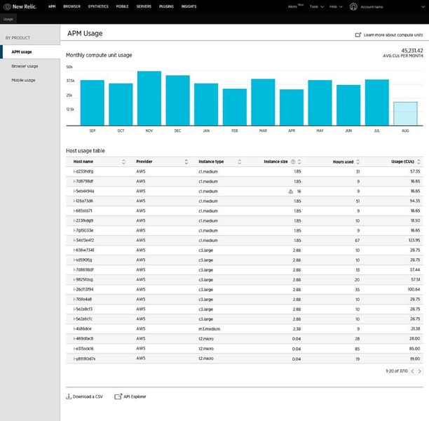 In diesem Bildschirm wird die Nutzung von APM dargestellt. (New Relic)
