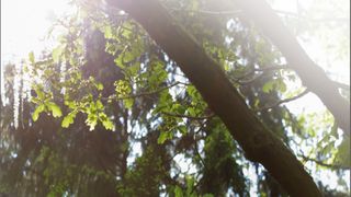 SCHLICK_Blowline.jpg (Düsen-Schlick GmbH)