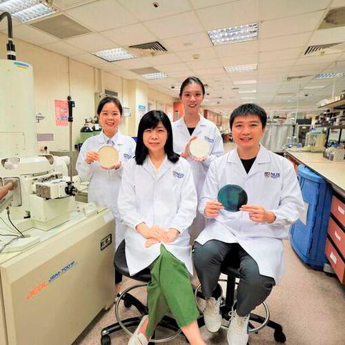 A team of researchers led by Prof Ho Ghim Wei (seated, left) has developed a revolutionary technique for producing ultrathin inorganic membranes that are energy-efficient and highly customizable for different applications.