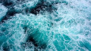 Ein neu entdecktes Enzym aus der Tiefsee baut den Kunststoff PET ab. (Symbolbild) (Bild: frei lizenziert)