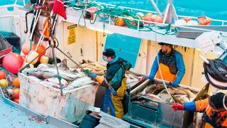 Cod fishing in Northern Norway (Source: Reiner Schaufler/ www.nordnorge.com)