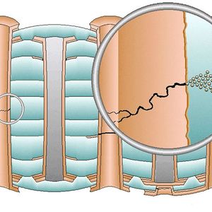 Hülsenrisse entstehen, wenn die Kupferwand einer Durchkontaktierung durch wiederholte thermomechanische Belastungen ermüdet und quer oder schräg zur Bohrungsachse aufreißt.(Bild:  Polas Instruments)