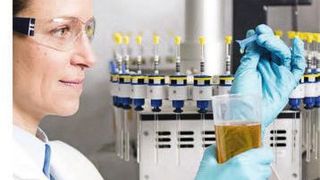 Prüfung einer Olivenölprobe am Nordbayerischen NMR-Zentrum auf dem Campus der Universität Bayreuth.  (Bild: ALNuMed)