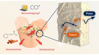 Papierverpackungen sollen Verunreinigungen verhindern und vor Aromaverlust schützen. (Bild: Institut für Festkörperphysik - TU Graz)