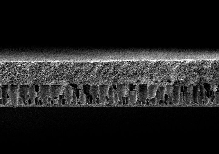 The PFAS-free polymer membrane is chemically stable, highly permeable, and has a pore diameter of about seven nanometers. (Image:Fraunhofer IAP)