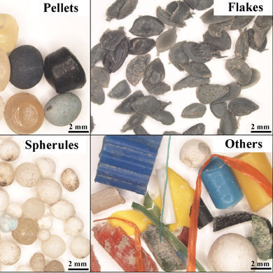Unterschiedliche Kategorien von Plastikmüll, die in der Donau quantifiziert wurden: Pellets (ca. 4 mm Durchmesser), Flocken (ca. 2,8 mm Länge), Kugeln (ca. 2,9 mm), anderes Material (ca. 15,0 mm). (Bild: A. Lechner)