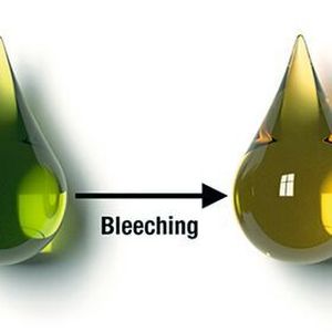 Determination of Process Contaminants in Fats and Edible Oils