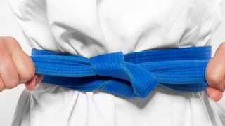 Vier „Gürtel“ gibt es im Dojo-Trainingsprogramm von Extreme Networks.  (tomhanisch - stock.adobe.com)
