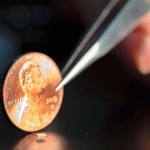 (Allison Carter, Georgia Tech)