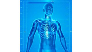 Predictive, preventive, personalized and participatory medicine, known as P4, is the healthcare of the future.  (Public Domain)