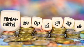 Schon Ende Juli sollen die ersten Zuschüsse ausgezahlt werden.  (©magele-picture - stock.adobe.com)