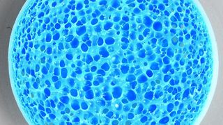 Mutag BioChip blue (25 mm) aus 2017 (Multi Umwelttechnologie)