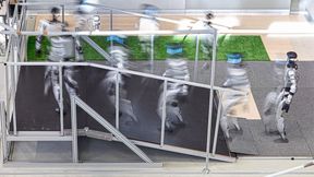 Teil des Benchmark-Tests: Durch Bewegungen mit verschiedenen Laufwegen auf einer Rampe wird die Fähigkeit zur Selbststabilisierung untersucht. (Bild: Fraunhofer IPA/ Rainer Bez)