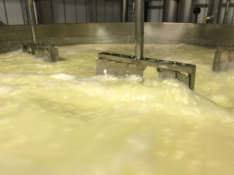 Der automatisierte Käsekessel ermöglicht einen Fernzugriff per Computer oder Mobiltelefon und eine Programmierung von 100 Rezepturen mit bis zu 100 Prozessschritten. (Bild: Siemens)