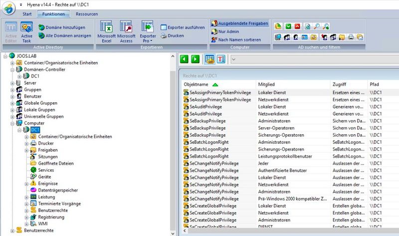 Verwalten der Berechtigungen für Server und Domänencontroller in Hyena. (Bild: Joos / SystemTools Software)