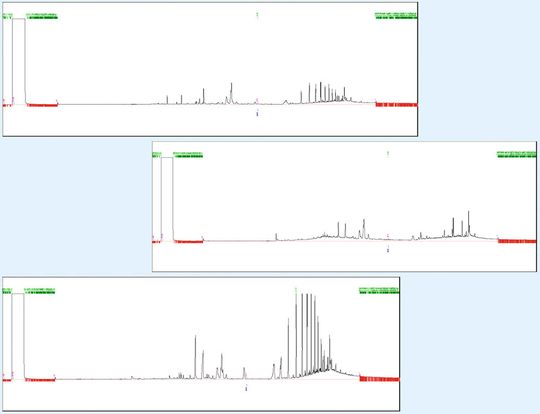 Abb. 3: Störpeaks, die durch die Verwendung verschiedener Septen entstehen können.(Bild:  Thermo Fisher Scientific)