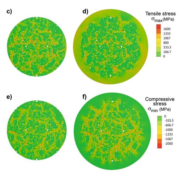2D-Modell von Ni-reichen Kern-Schale-Partikeln: Berechnete Zug- und Druckspannungs-Verteilungen im geladenen Zustand der Batterie für normale (c,e) und Kern-Schale-Partikel mit verringerten Intensitätsmaxima am Rand (d,f) (Robert Mücke / Forschungszentrum Jülich)