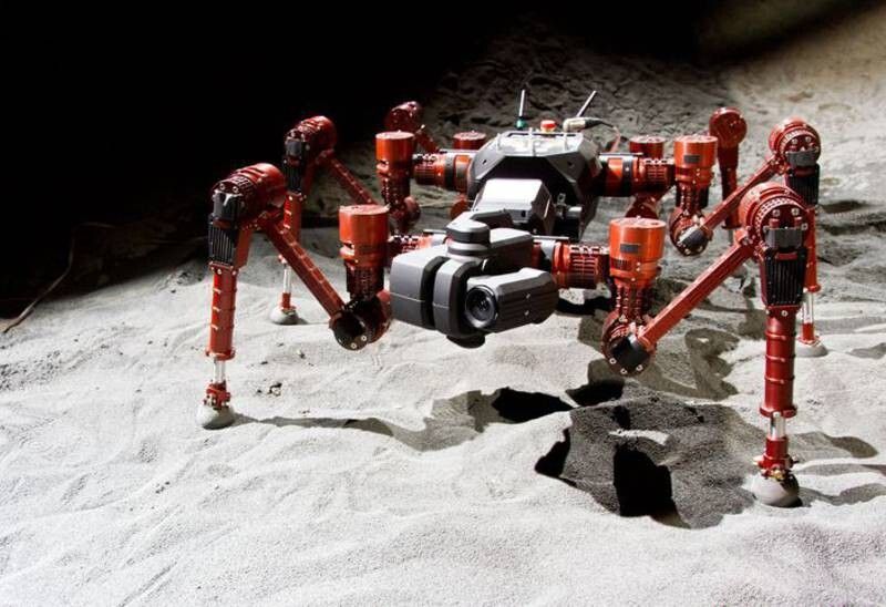 Der Körper des Kletterroboters ist biologisch inspiriert. Ameisenähnlich bewegt er sich geschickt in Felsspalten und schwierigem Gelände. (Bild: DKFI/Florian Cordes)