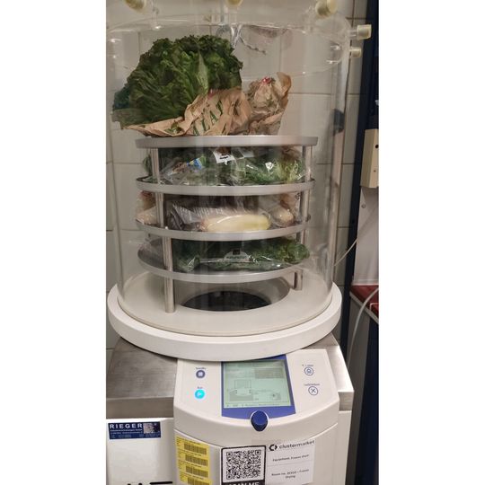 Im „Setup Lab“ sieht man den ersten Schritt der Probenverarbeitung. Die Proben wurden in Lebensmittelgeschäften in der Schweiz gekauft und dann tiefgekühlt an die Wissenschafter verschickt. Sie wurden erst gefriergetrocknet (um Wasser zu entfernen) und dann im Labor extrahiert, bevor sie mit Flüssigchromatographie-Massenspektrometrie gemessen wurden.(Bild:  Anya Sherman, Zentrum für Mikrobiologie und Umweltsystemwissenschaft)