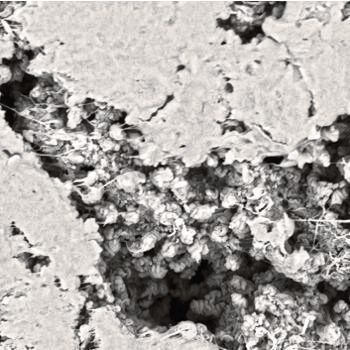 Bild 2: REM-Aufnahme der PTFE-Membran: ein gepresster Wollknäuel mit unterschiedlich großen Öffnungen.  (Bild: Konzelmann)