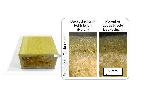 Mal genauer betrachtet	 So sieht ein pultrudiertes Sandwichprofil mit Schaumkern unterm Mikroskop aus. (Bild: IKV)