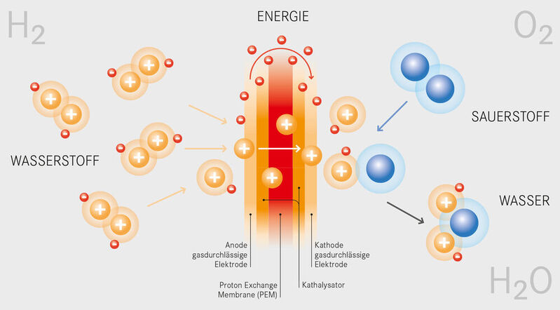 Aufbau und Funktionisweise einer Wasserstoff-Brennstoffzelle.
