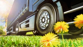 Eine Rohstoffbasis für Kautschuk, der für Fahrzeugreifen genutzt werden kann, ist eine besondere Art von Löwenzahn namens Taraxacum. Contitech hat dazu bereits erfolgreich geforscht, wie dieses Exponat beweist: der Versuchsreifen Taraxagum, abgeleitet von der botanischen Bezeichnung der Pflanze. (Continental Reifen Deutschland)