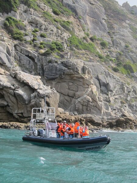 Ein Speedboot brachte die Gruppe nach Hout Bay. (Bild: Also)
