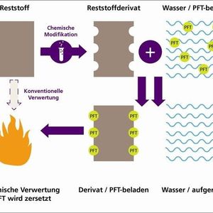 Modifizierte biogene Materialien adsorbieren PFT aus kontaminierten Wässern.