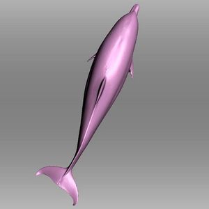 (Lloyd Hopkins, Swansea University, Swansea Laboratory for Animal Movement)