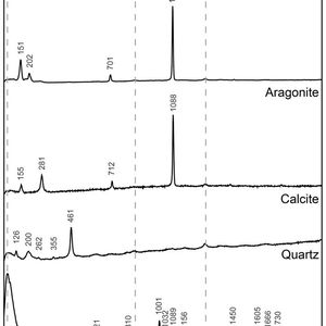 Abb.: 4 Raman-Spektren ausgewählter Partikel, die in Schwämmen aufgenommen wurden. Neben anorganischen Verbindungen wie Kalziumkarbonate (Kalzit, Aragonit) und Quarz, sind ebenso Plastikpartikel im Gewebe vorhanden. (Bild:  LMU München)