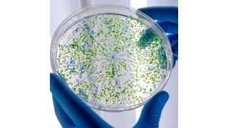 Das Projekt Priorisation and Risk Evaluation of Medicines in the Environment (Premier) soll ein neuartiges Informations- und Bewertungssystem zur Identifizierung und Bewertung der Umweltrisiken von Arzneimitteln entwickeln, insbesondere für solche mit mangelnder Datenverfügbarkeit. (Innovative Medicines Initiative)