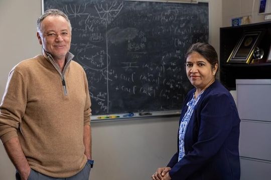Distinguished Professor Laurent Bellaiche and research consultant Kinnary Patel of the Department of Physics.(Source:  University of Arkansas/ Russell Cothren)