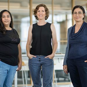 (Tomer Foltyn | www.TomerFoltyn.com)